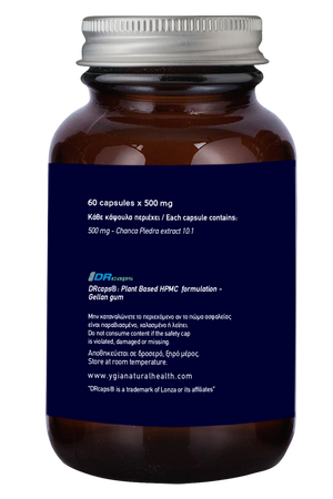 Chanca Piedra 500 mg ♦ 60 Enteric Veg Caps X 500mg  ♦ Amber Glass Bottles ♦ 100% Natural ♦ Non-GMO ♦ Gluten & Dairy Free ♦ No Additives