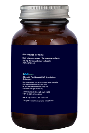 Astragalus 500 mg -10:1  ♦ 60 Enteric Veg Caps X 500mg  ♦ Amber Glass Bottles ♦ 100% Natural ♦ Non-GMO ♦ Gluten & Dairy Free ♦ No Additives