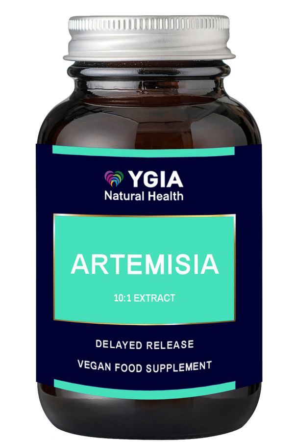 Artemisia ♦ 60 Veg Caps X 500mg ♦ Amber Glass Bottles ♦ 100% Natural ♦ Non-GMO ♦ Gluten & Dairy Free ♦ No Additives |