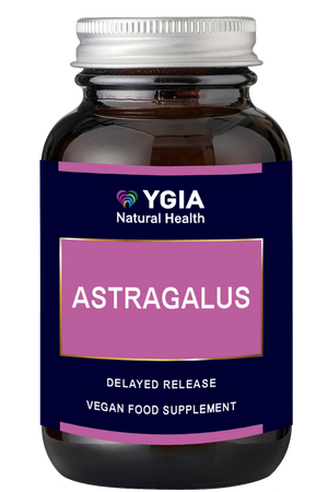 Astragalus 500 mg -10:1  ♦ 60 Enteric Veg Caps X 500mg  ♦ Amber Glass Bottles ♦ 100% Natural ♦ Non-GMO ♦ Gluten & Dairy Free ♦ No Additives