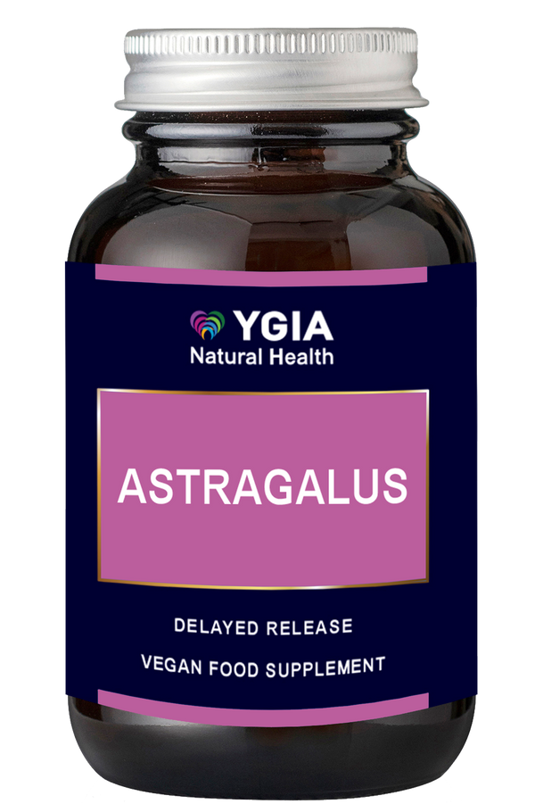 Astragalus 500 mg -10:1  ♦ 60 Enteric Veg Caps X 500mg  ♦ Amber Glass Bottles ♦ 100% Natural ♦ Non-GMO ♦ Gluten & Dairy Free ♦ No Additives