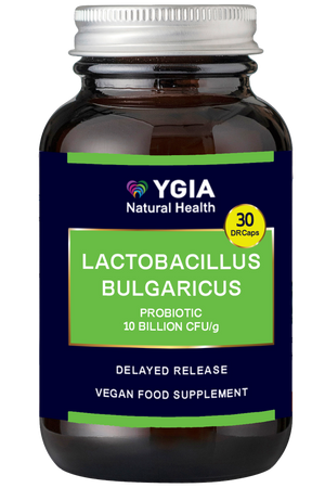 Lactobacillus Bulgaricus - The Natural Probiotic  - 10 blllion CFU- 30 Enteric Delayed Release Caps x 500 mg -Amber Glass Bottles