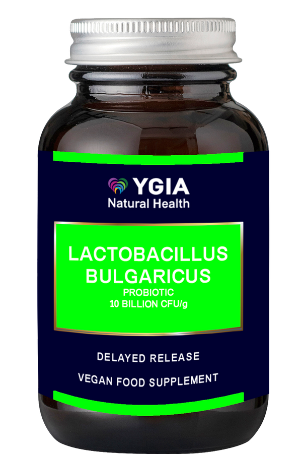 Lactobacillus Bulgaricus - The Natural Probiotic - 10 blllion CFU- 60 Delayed Release VCaps x 500 mg -Amber Glass Bottles